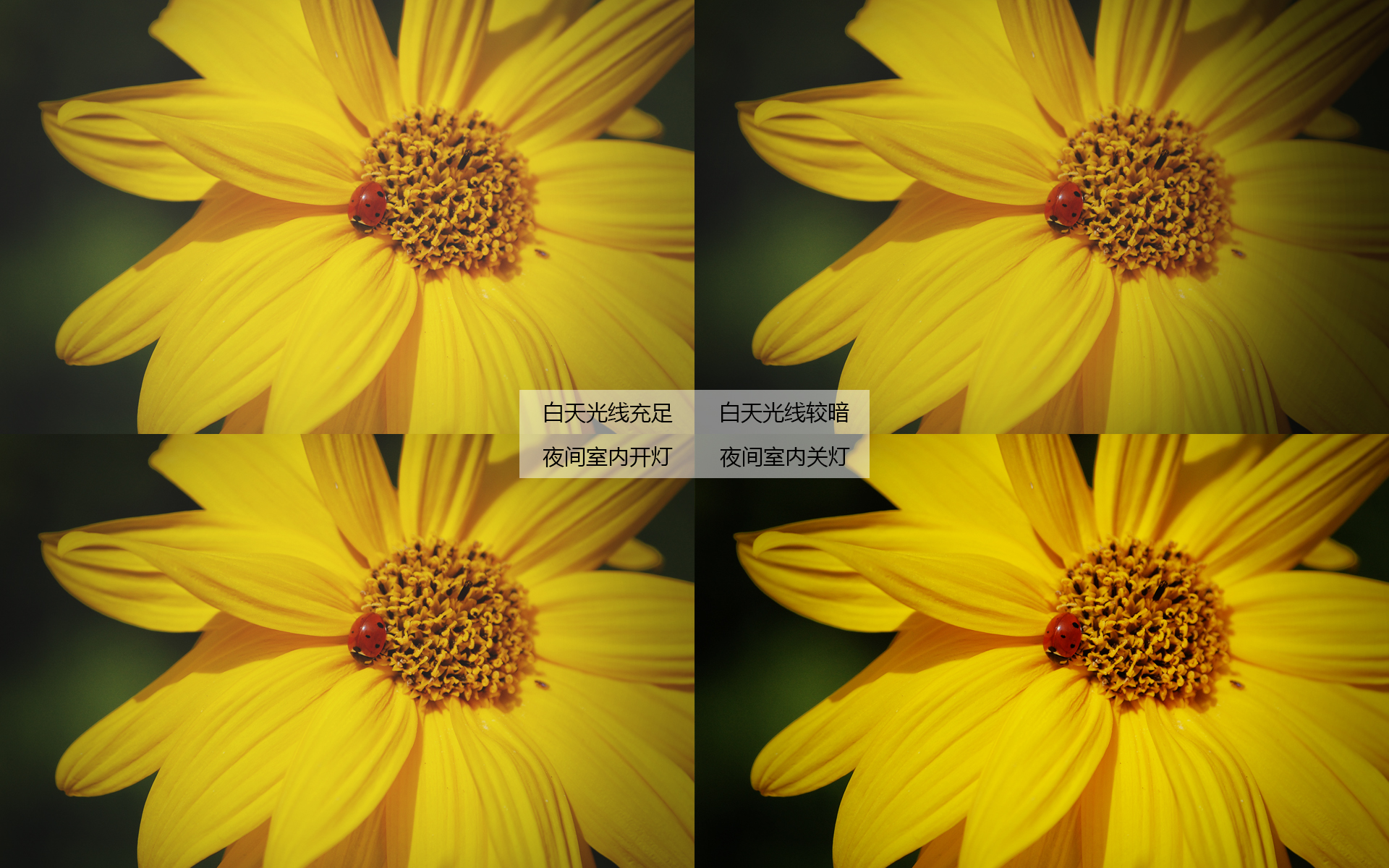 优派701pro4k投影仪怎么样,优派k701-4k和px710-4kpro区别