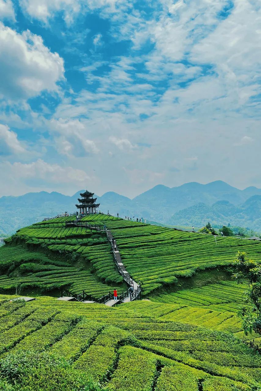 适合夏日避暑的旅游胜地,适合夏天避暑的旅游胜地