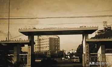 小八故事会,小八故事会合集