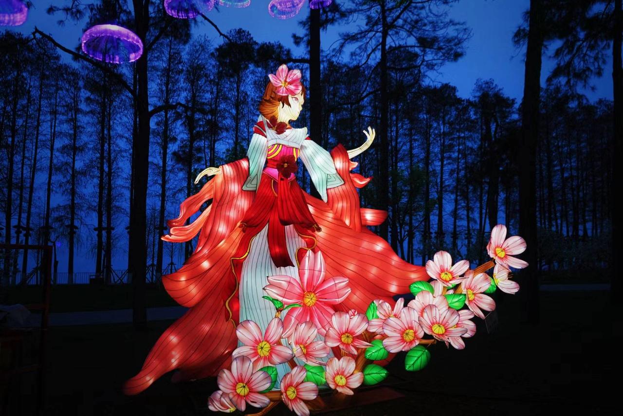 武汉东湖奇妙灯会,东湖灯会游玩攻略