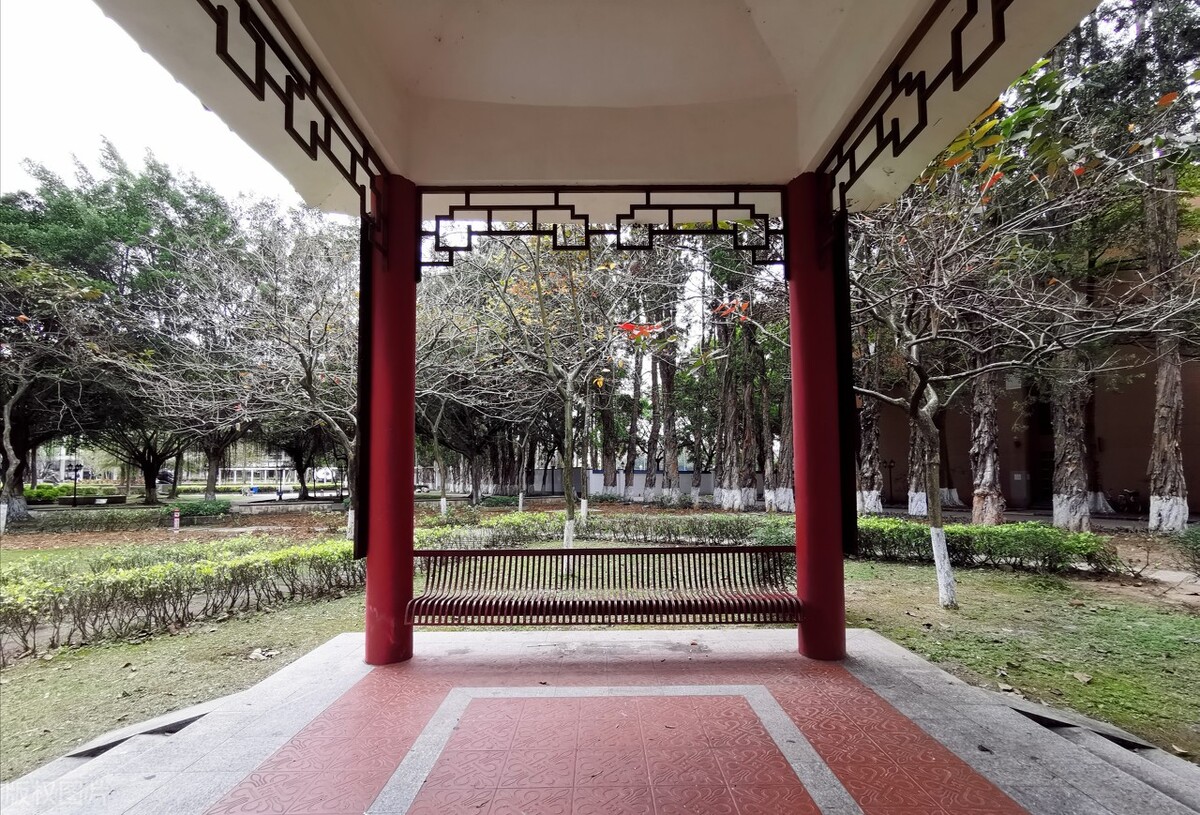 广东外语外贸大学是211还是985学校,广东外语外贸大学什么专业有前途