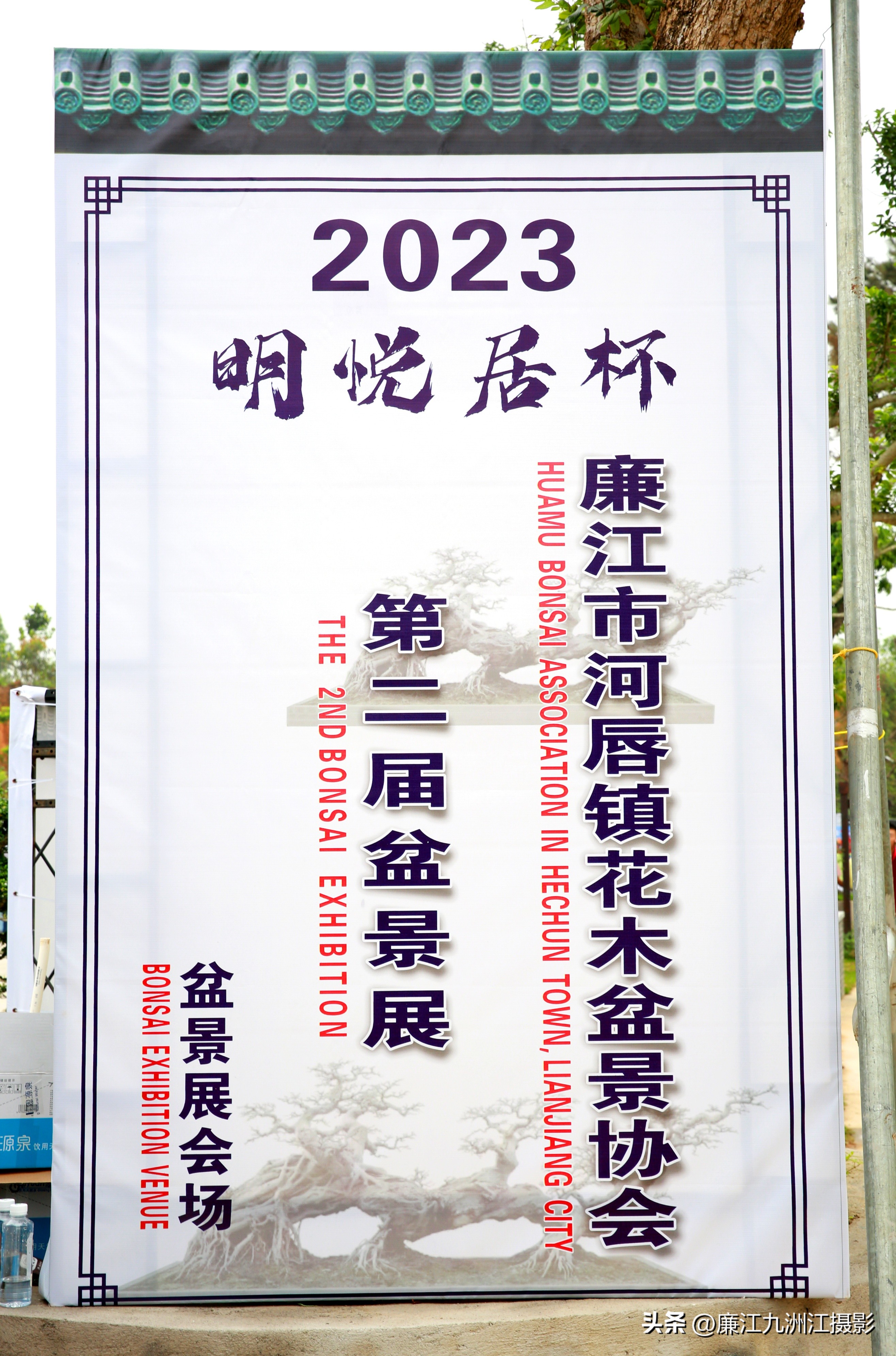 最高端的盆景展,一场惊艳的盆景展