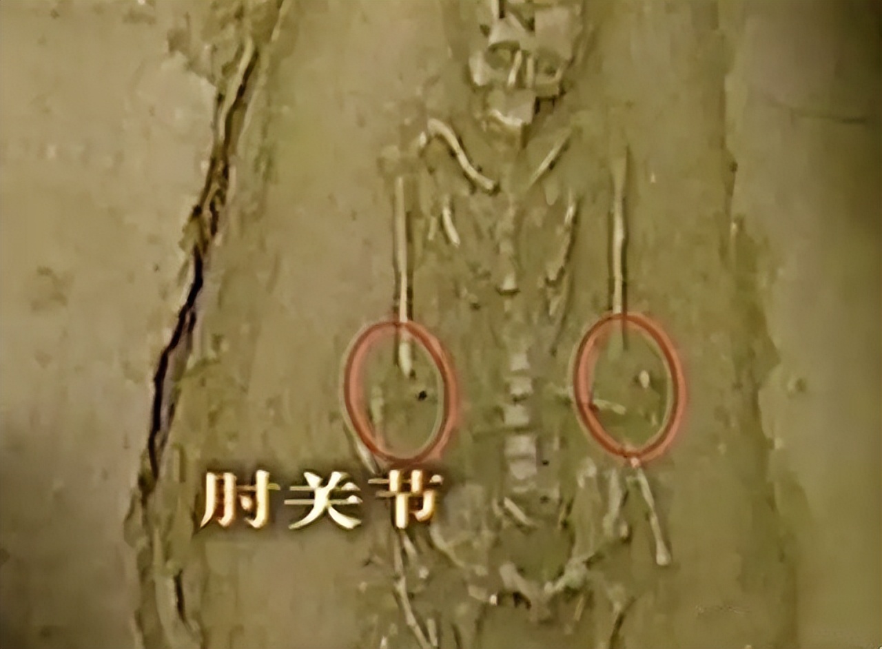 考古挖出古墓的尸体,西安考古发掘古墓现场图片