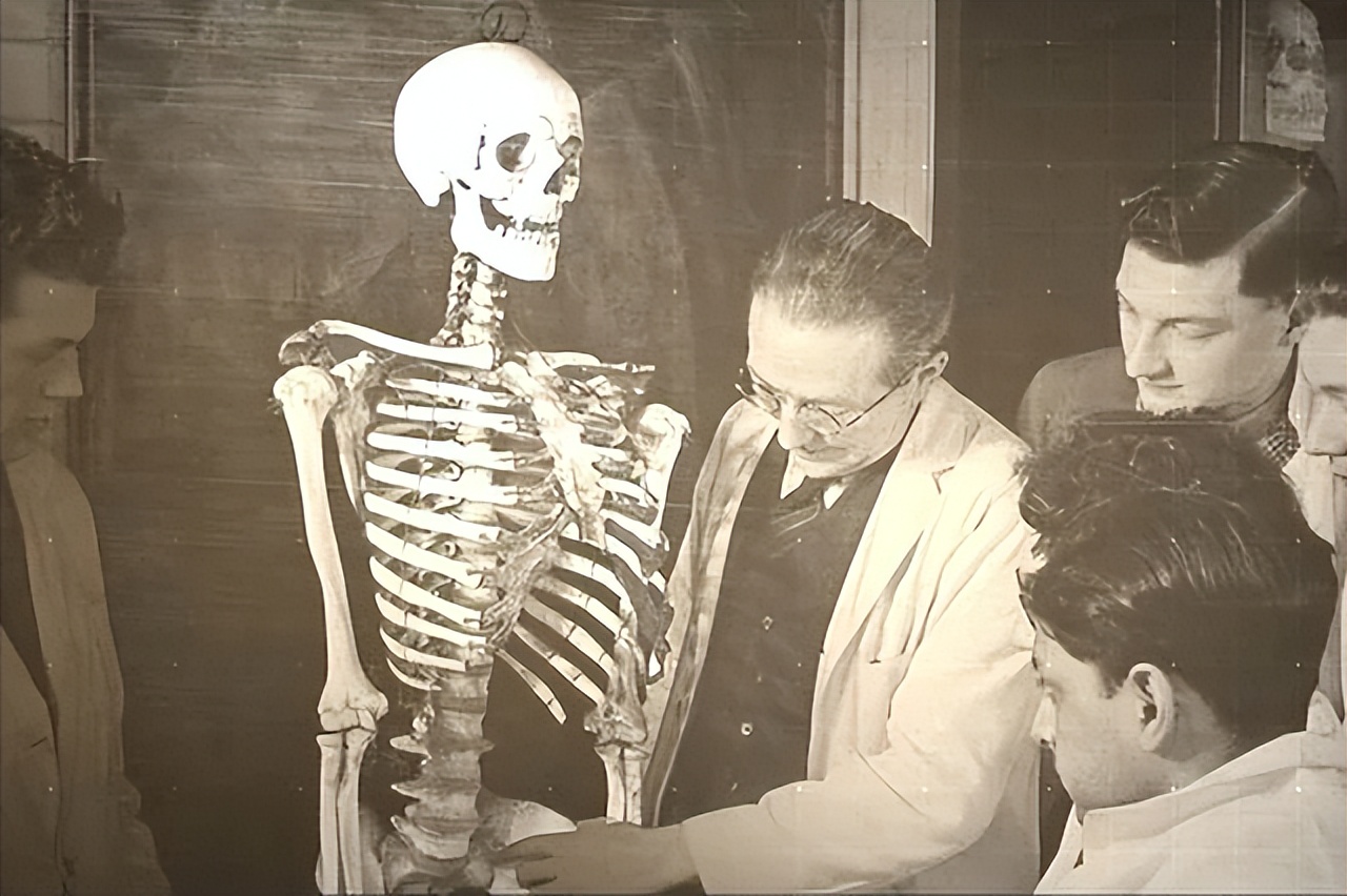 印度人贩卖骨头是为了干嘛,印度毛骨悚然的人骨工厂