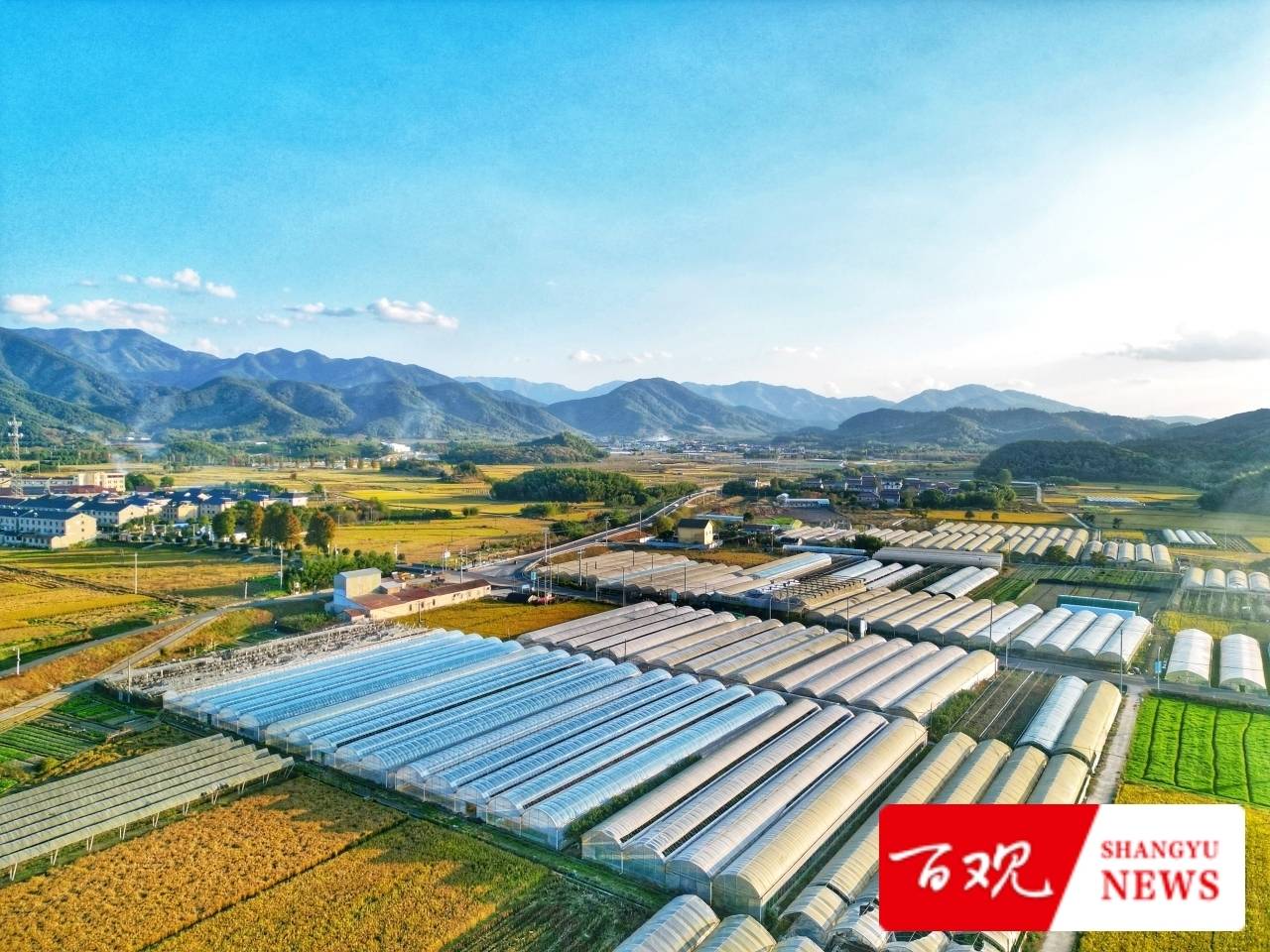 种植大户陈伟祥说：我要把“务农”这碗饭从苦吃到甜