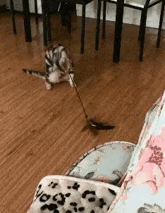 兄弟抢红包是挺快的，就是有点费手机，这屏幕得经常换吧，哈哈哈