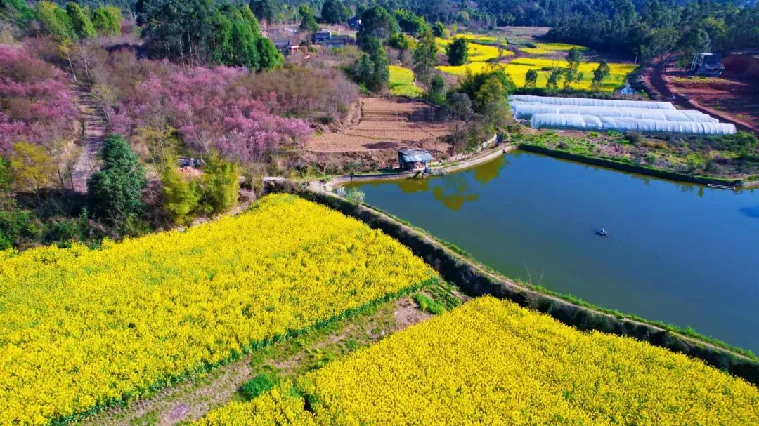 成都市区现实版桃花源记在哪里,成都公交可达的古镇