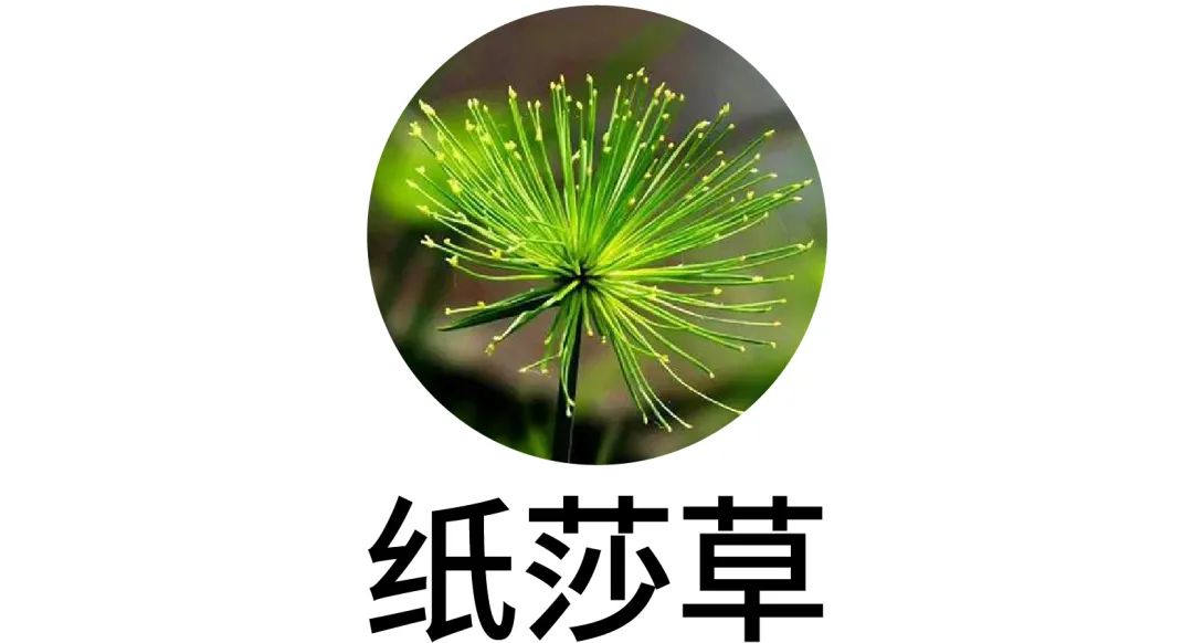 图案设计纹样剪法,图案设计与制作