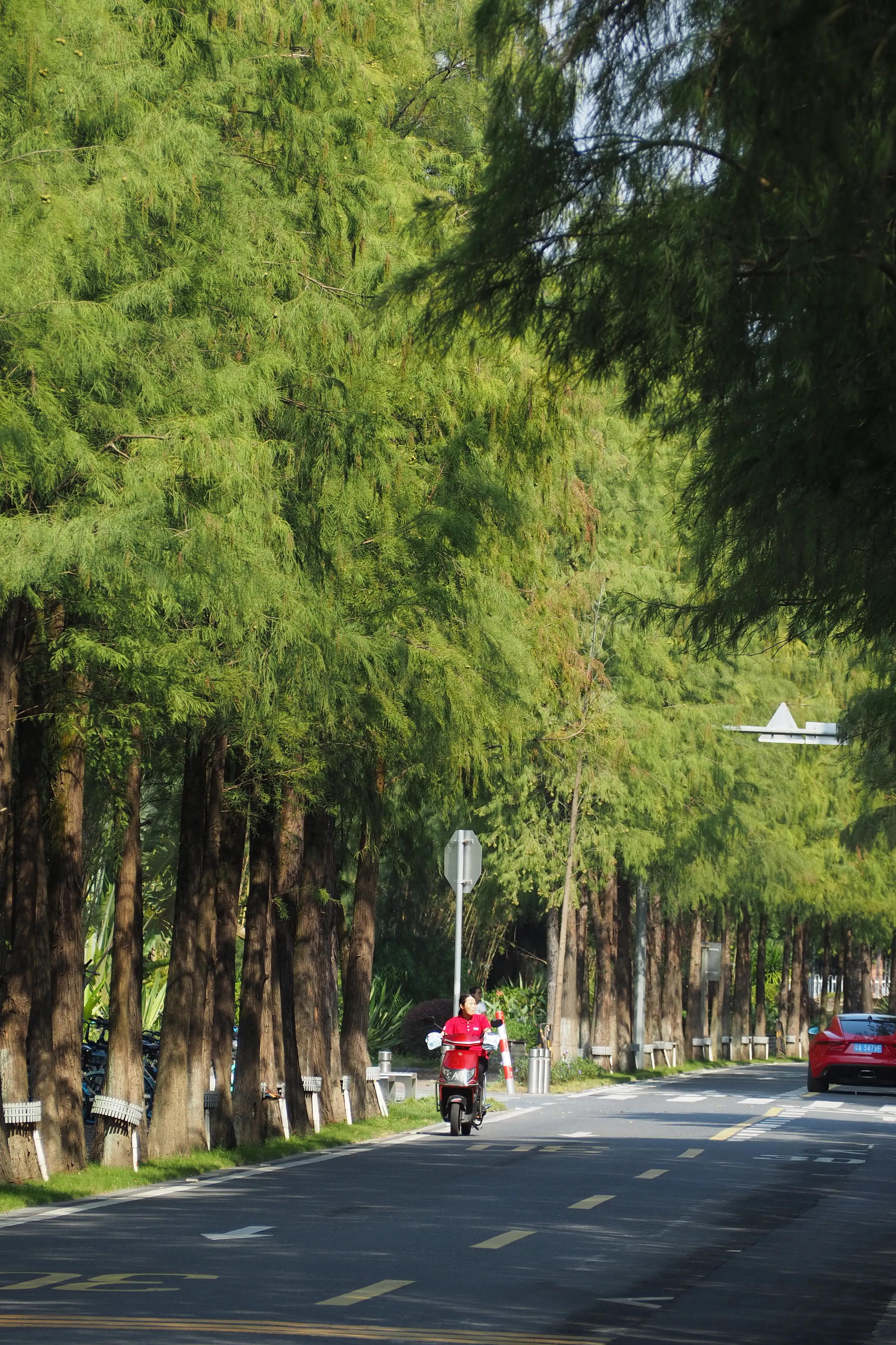 南沙既能玩又能吃的农庄,南沙好的农庄