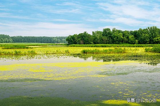 韩愈的早春美景诗句,韩愈的绝美诗句
