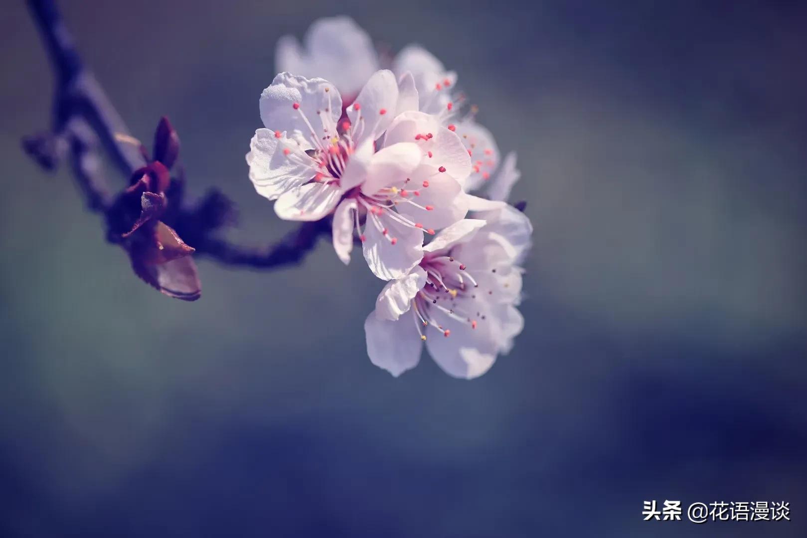 遨游想象世界,遨游恐龙世界想象作文五百字