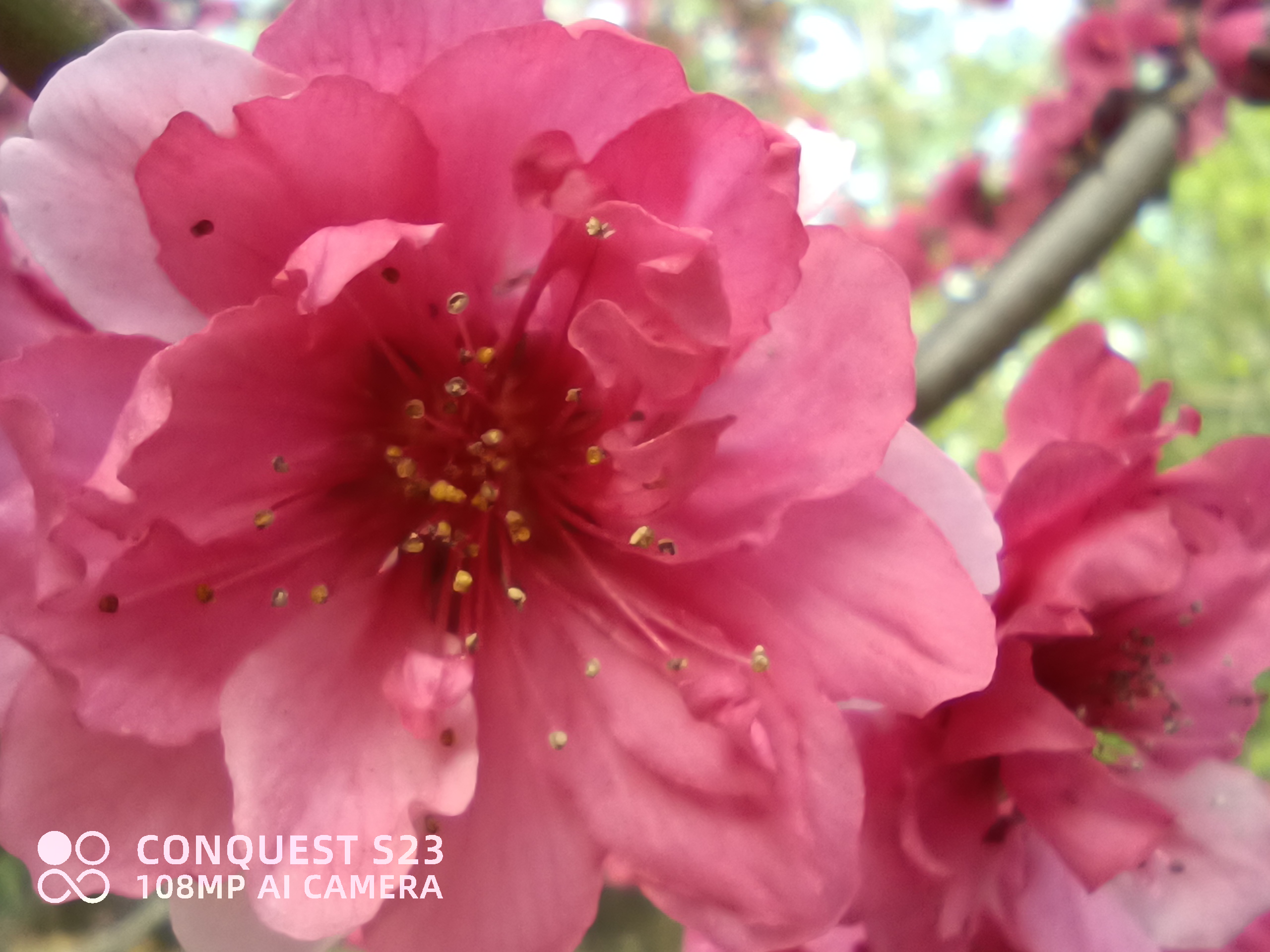 征服s23三防智能机新闻发布会,征服s23三防智能机怎么样才能买到