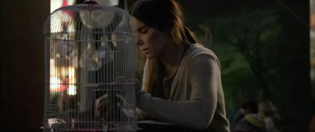 丽娜说电影系列（一）《蒙上你的眼（又名“鸟盒子”）》