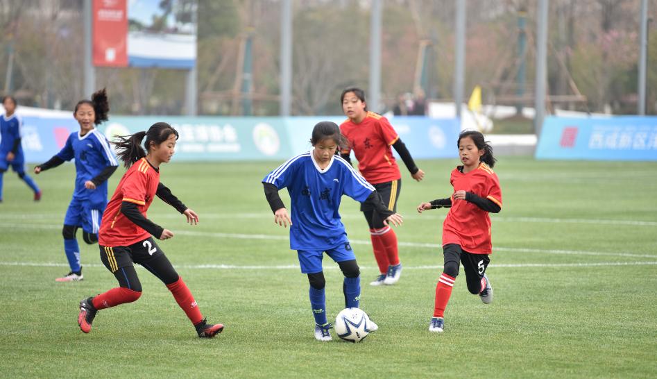 沣东足球公园免费吗,沣东足球公园对外开放吗