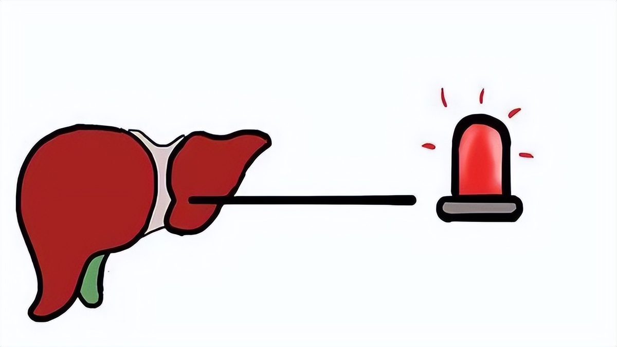 几块钱一瓶甲硝唑能治什么病,甲硝唑一瓶