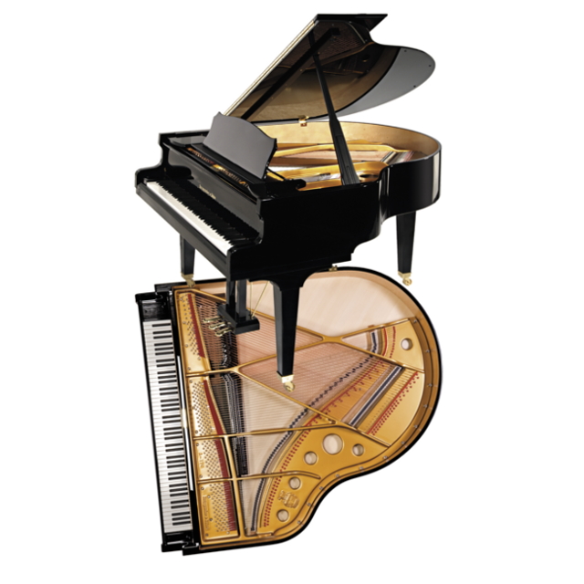 钢琴品牌steinwaysons价格,施坦威钢琴十大品牌