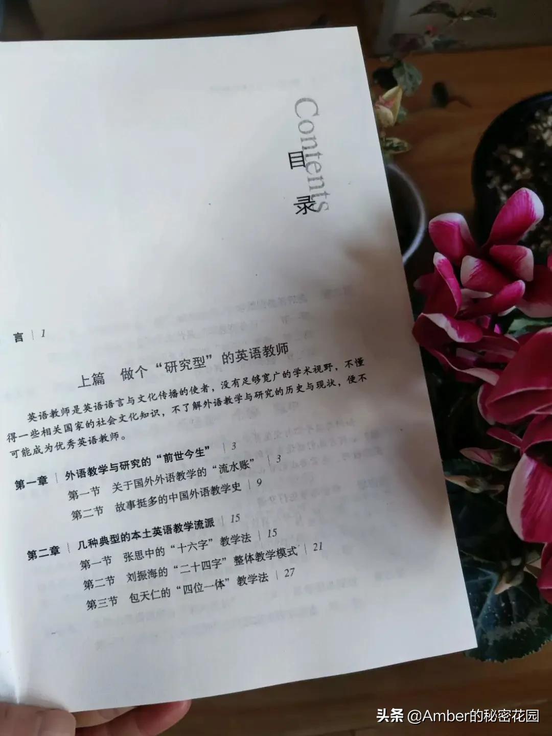 怎样成为一名优秀的英语教师书摘,怎样成为一名优秀的英语教师ppt