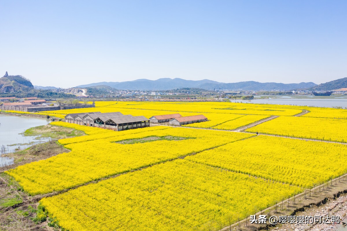 苏州春暖花开旅游攻略,苏州踏秋去哪里旅游好玩