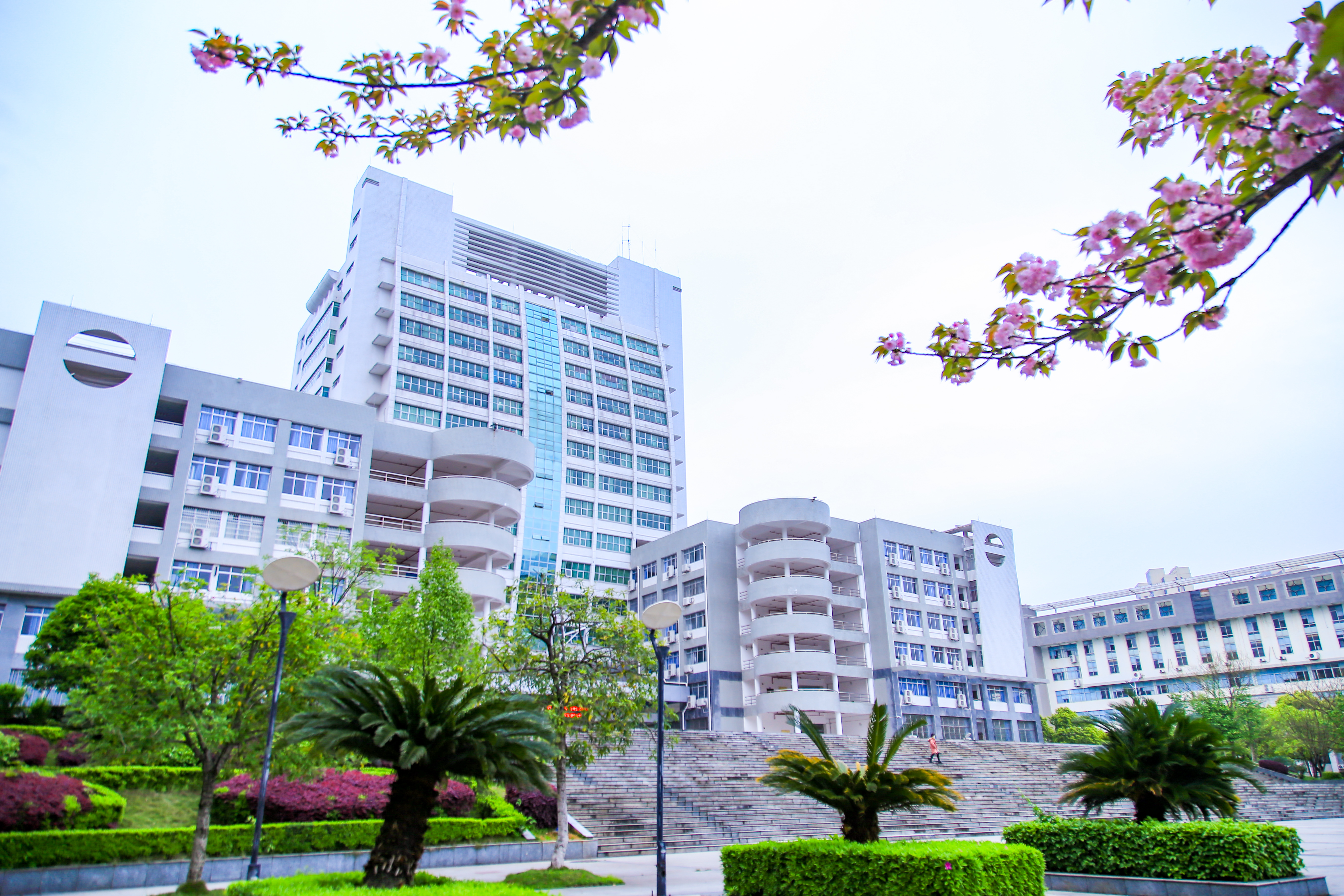 中南大学合并湘雅医学院,湖南大学湘雅医学院为何没合并