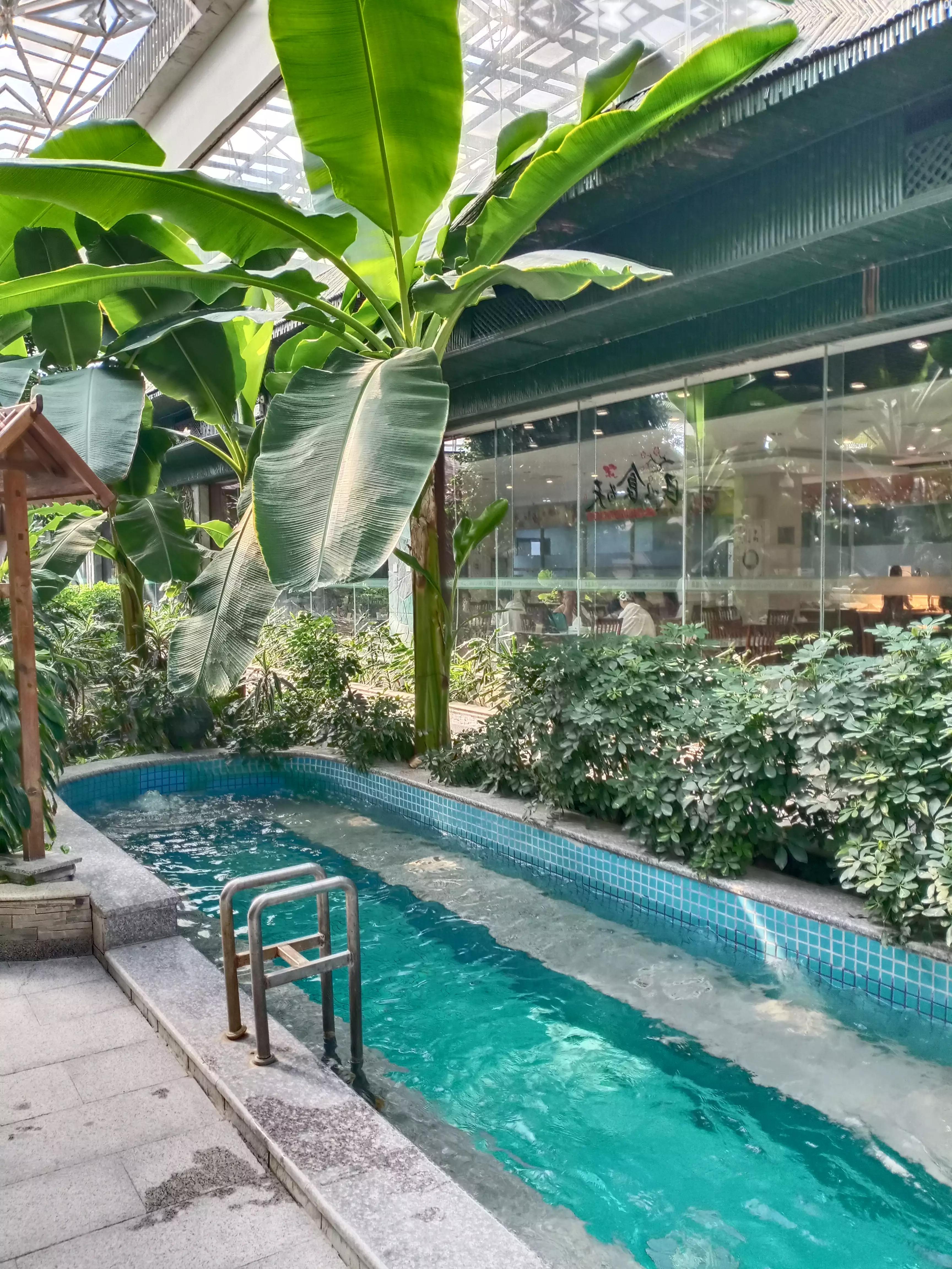 最好的温泉是硫磺温泉吗,凤山温泉和白鹿温泉度假村哪个好