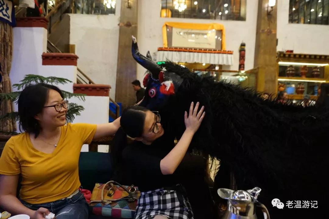 *藏西**行九点观感