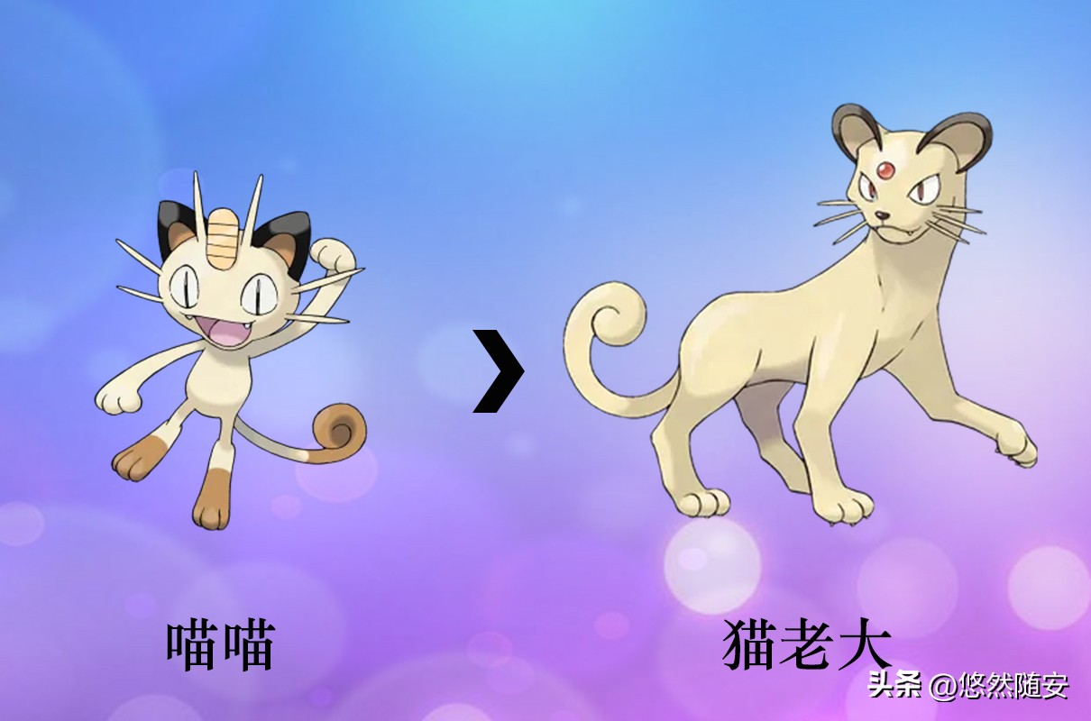 宝可梦所有御三家进化形态,宝可梦小火狐进化形态