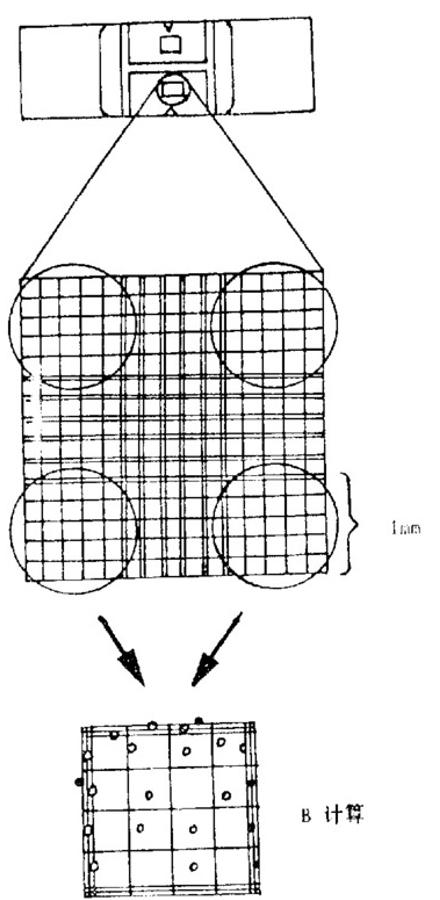 昆明纳瑞丨如何给细胞计数加buff?