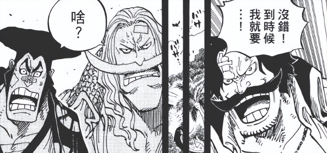 看了海贼王才明白的道理,看了二十年海贼王