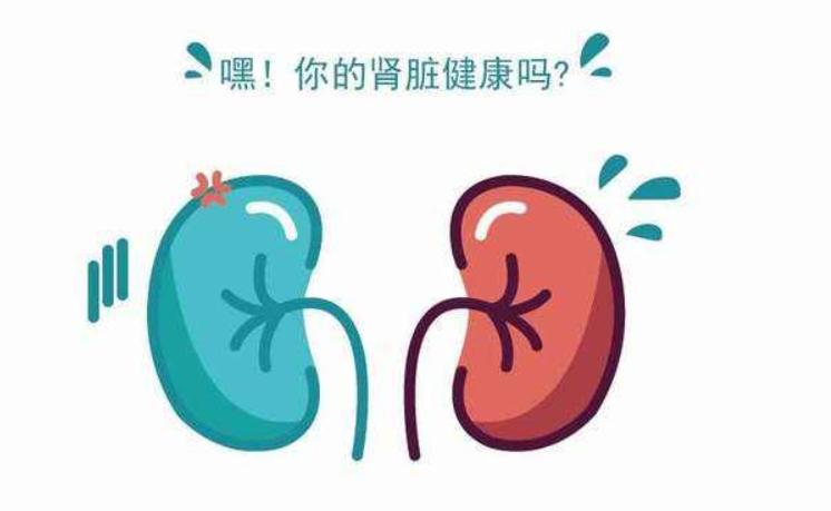 男人肾虚该怎么补肾呢,男人肾虚怎么办中医教你养肾妙招