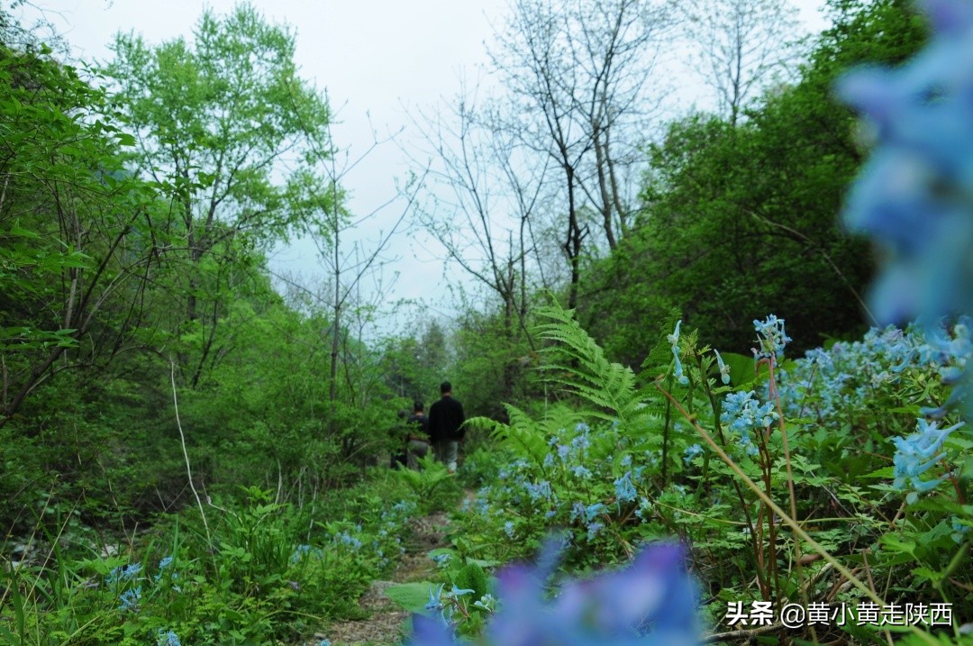 真没想到，蓝田还藏着一条通安康的古商道！很多人路过却不知道