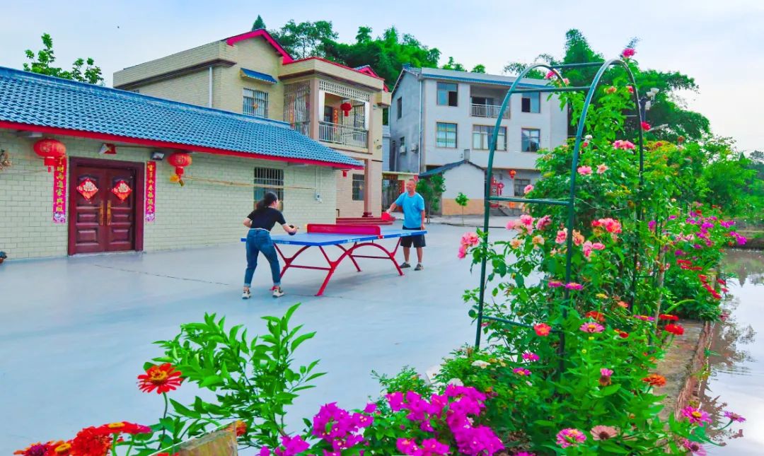 重庆乡村振兴示范村名单,重庆乡村一日游哪些地方好耍