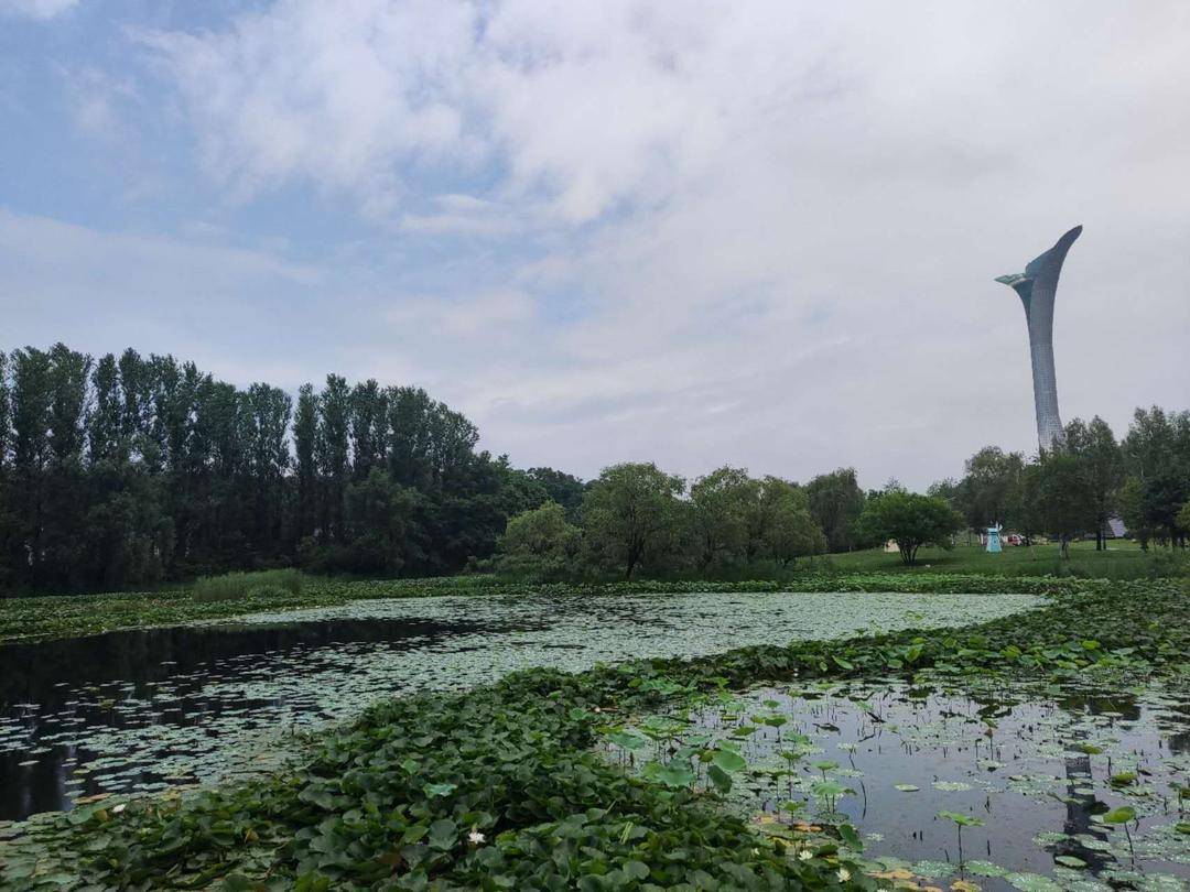 沈阳周边避暑胜地亲子游,沈阳避暑自由行