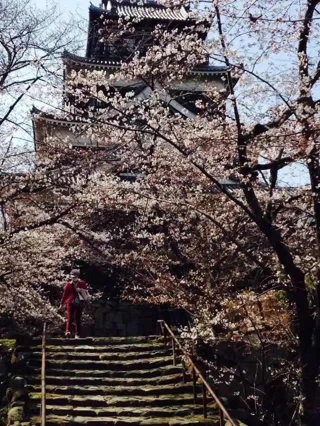 段哥直播卖车视频,段哥在抖音