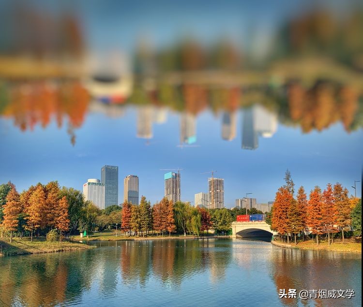 为艺术多一次曝光