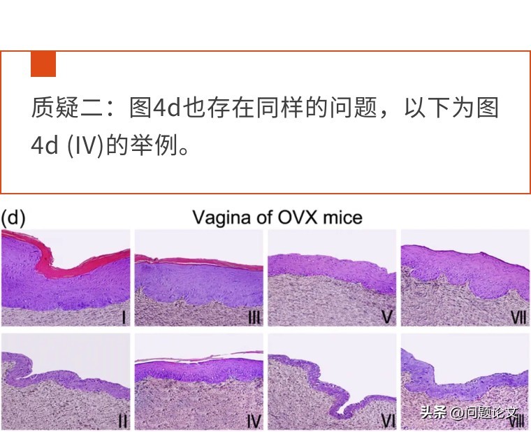 医生学术论文作假严重吗,国外承认中医论文造假事件
