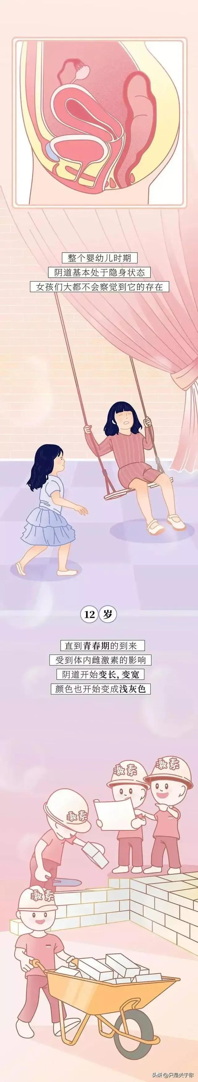 关于阴道的知识男女都应了解下