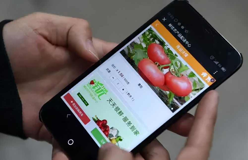 如何推广农产品品牌策略,高端农产品品牌推广方案