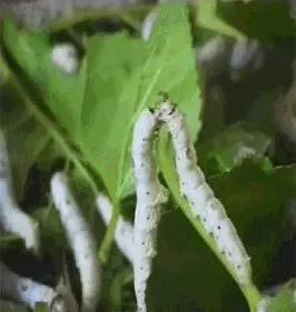 怀念90年代的回忆,80年代90年代满满的回忆