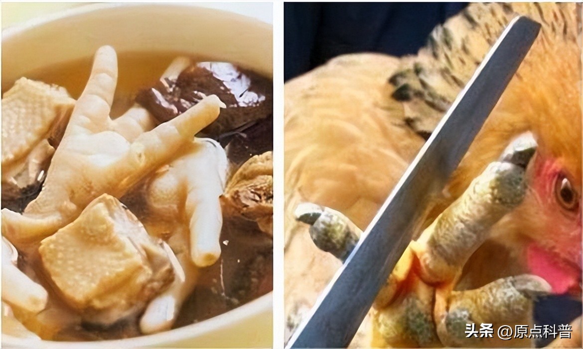 中国十禁名菜,十道禁忌名菜