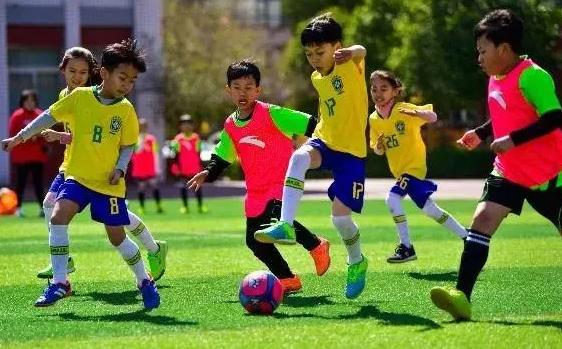 足球纳入高考,足球纳入高考是真的吗