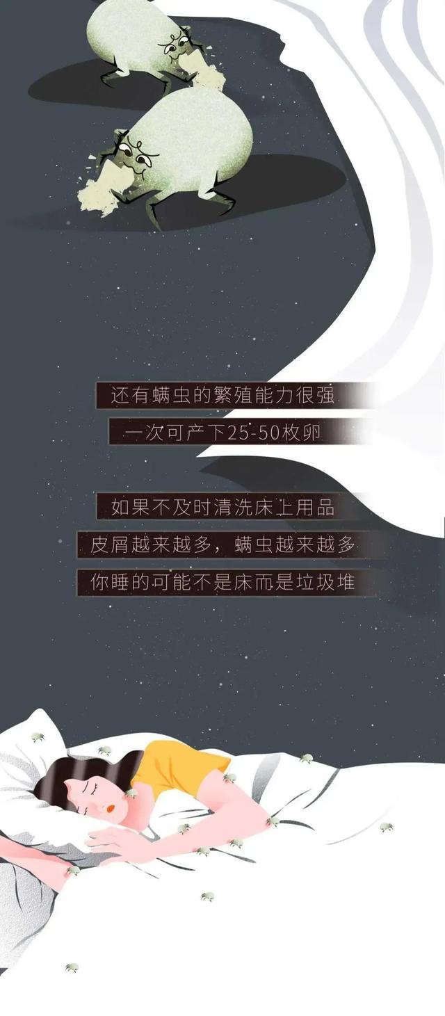 女孩子的床为啥脏,女孩子的床有多整洁