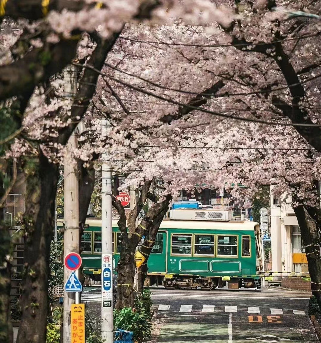 在日本留学回国的感受,日本留学你最想知道的事