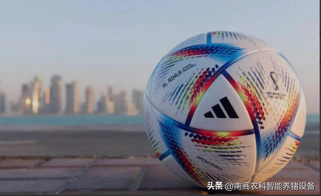 养猪人的真实感悟,养猪人的感悟和图片高清