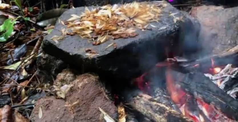 真正的丛林美食有哪些,硬核知识大全100个