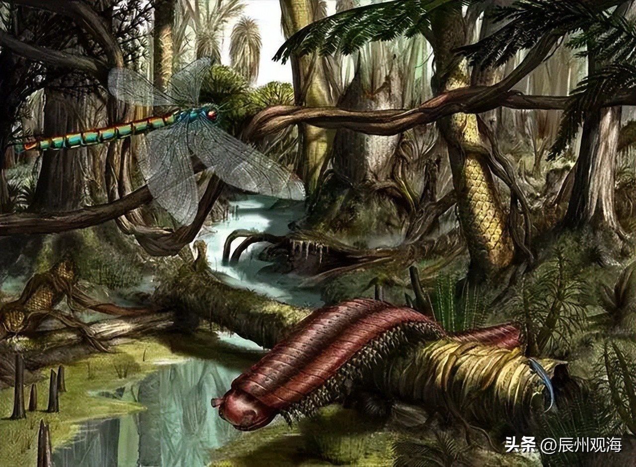 3.06亿年前的地球,3亿年前的大蜘蛛