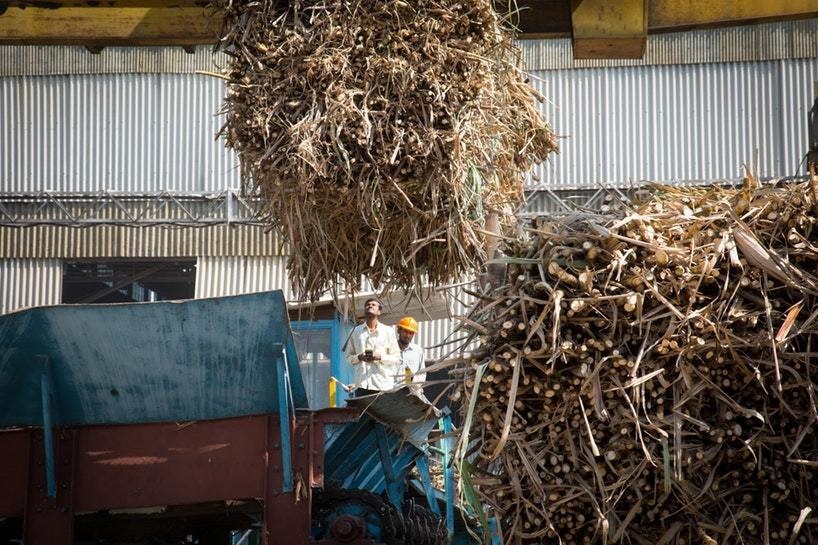 印度无子宫真实现状,印度切除子宫是怎么回事