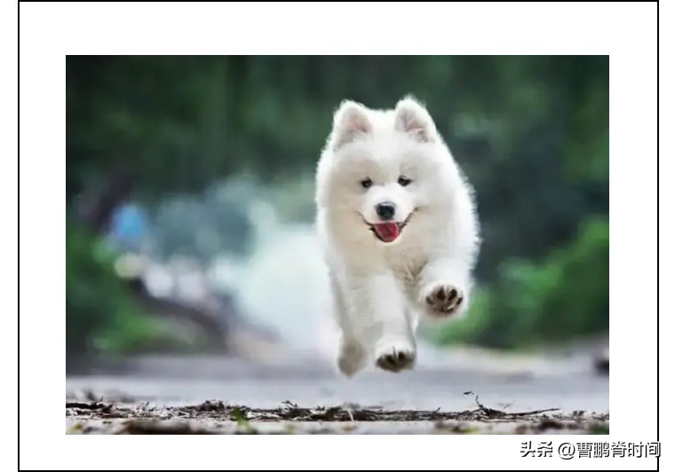 经常腰痛怎么办教你四招放松腰部,腰痛后如何让腰快速恢复正常