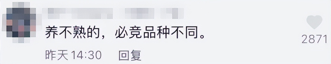 杭州女高中生被点赞,2023年被央视点赞的女大学生