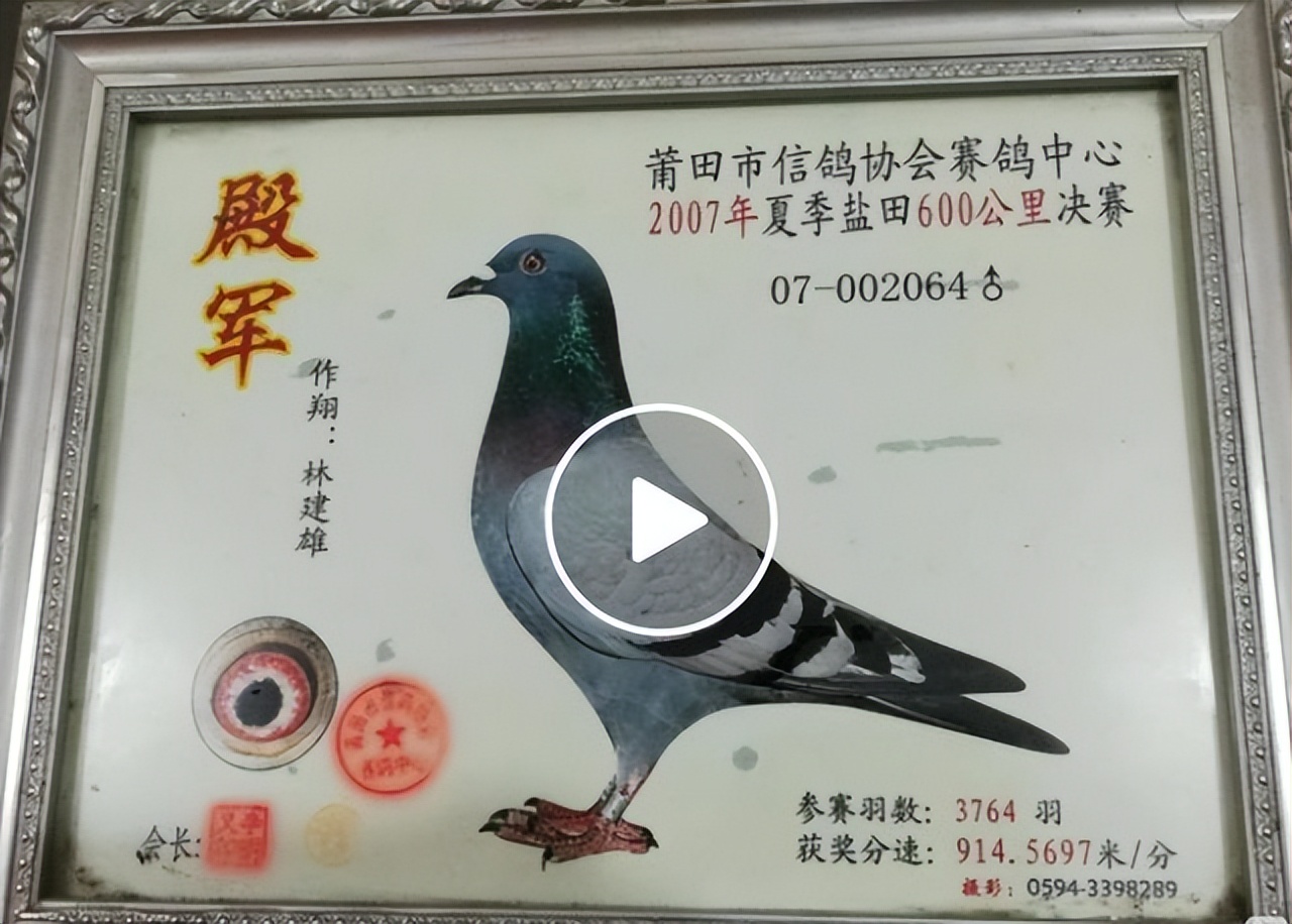 不惜投入22年精力！莆田这项“秘密”赛事到底有何魅力？