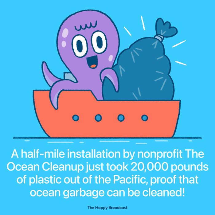 2021年世界各地的40个好消息，在沉重的一年，也能看到一些阳光